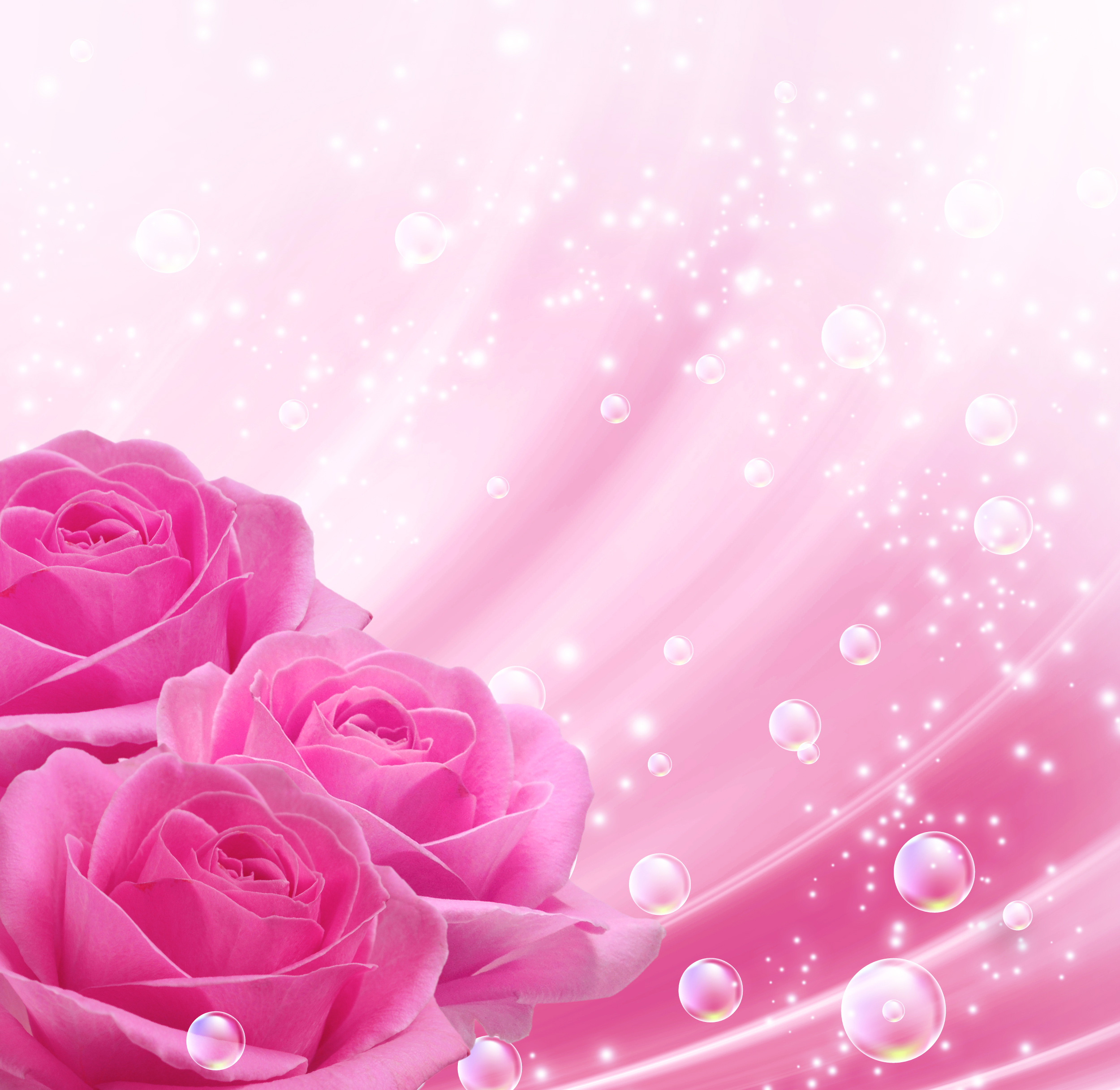Pink Background with Pink Rosesm1399676400