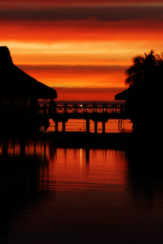 Tropical Sunset iPhone 4s Wallpaper Download | iPhone Wallpapers ...