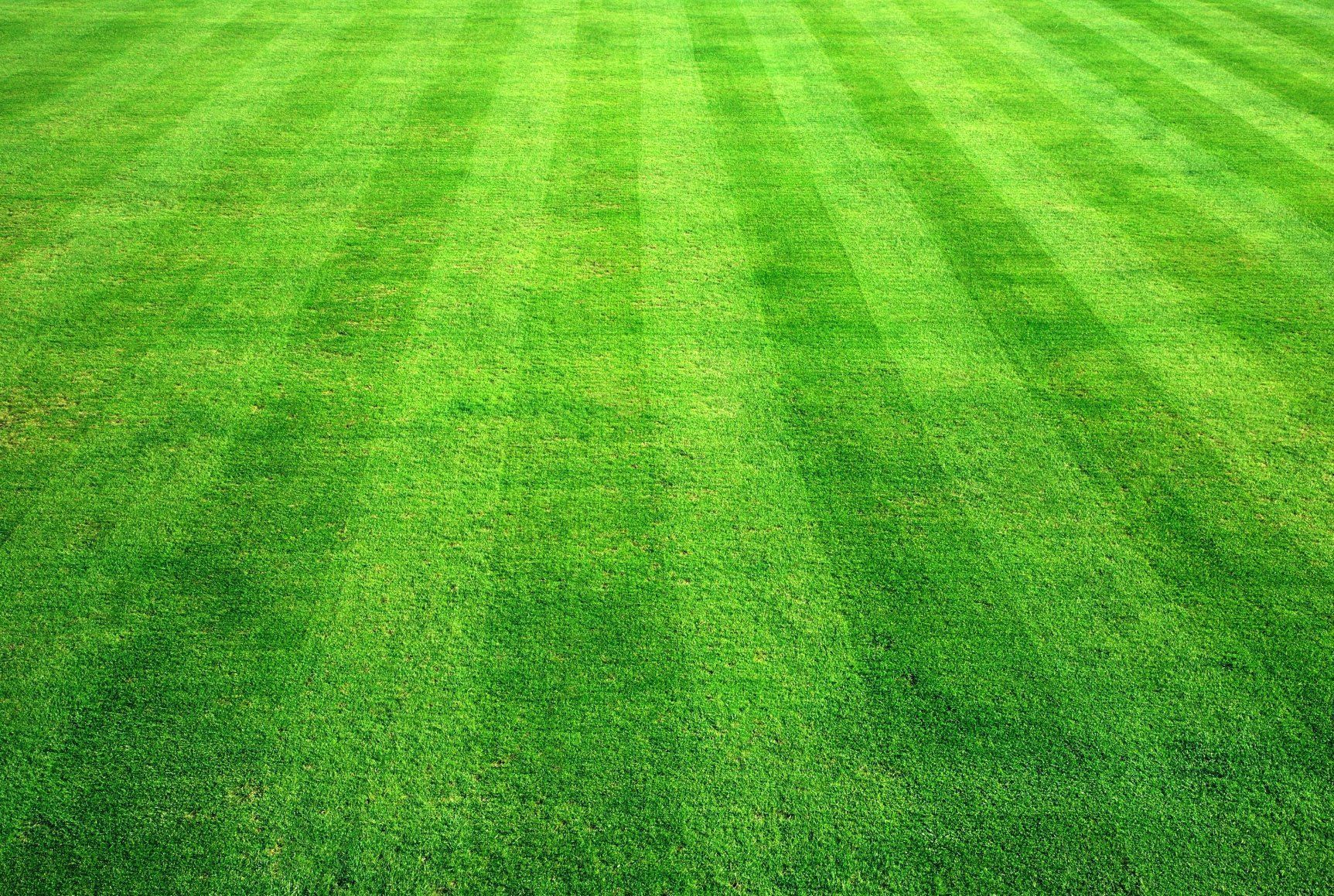 Download texture: gridiron, green grass, background, texture ...