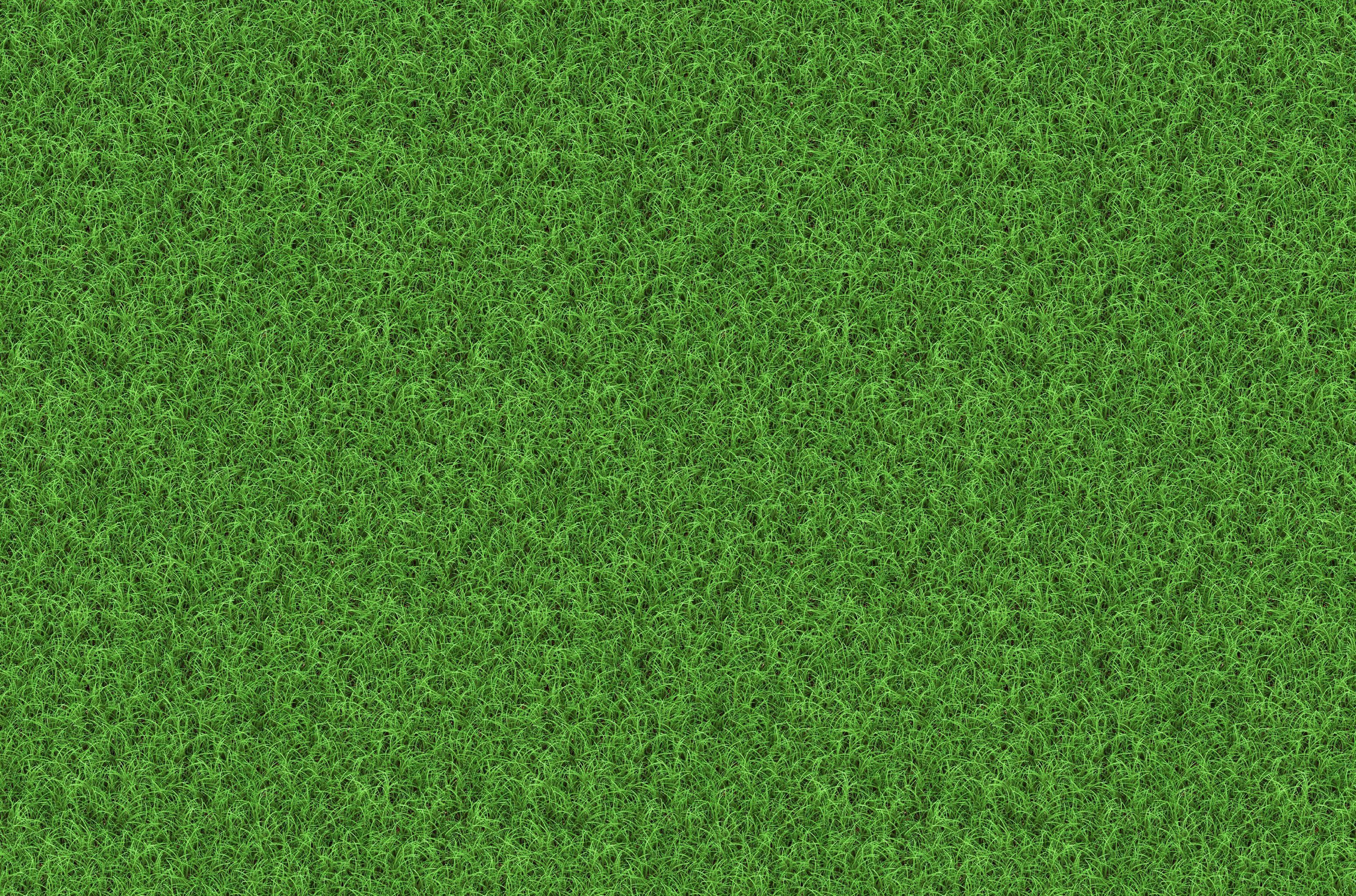 generated grass texture or green lawn background | www ...