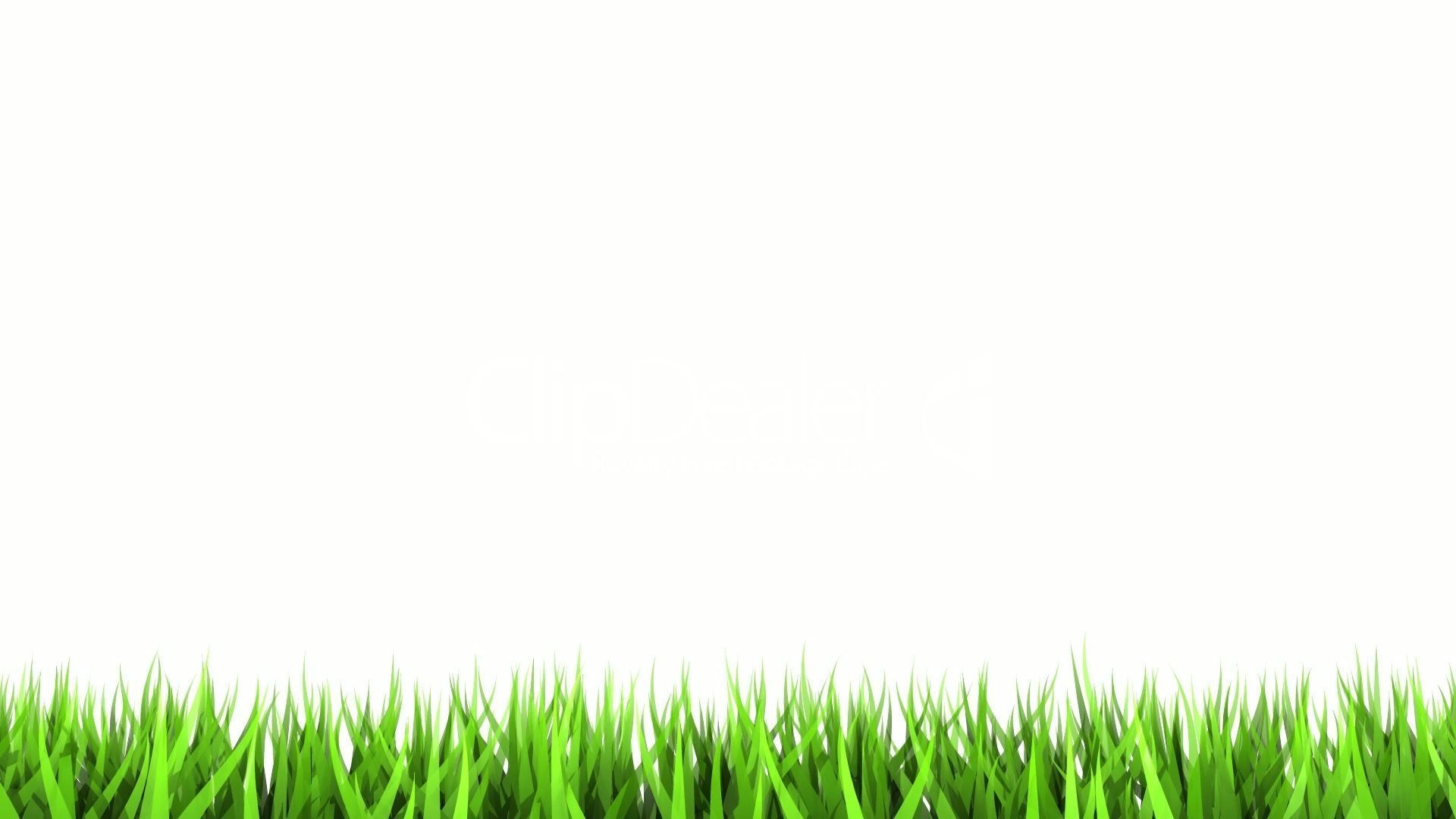 White Background with Green Grass 8199 1920x1080 px ...