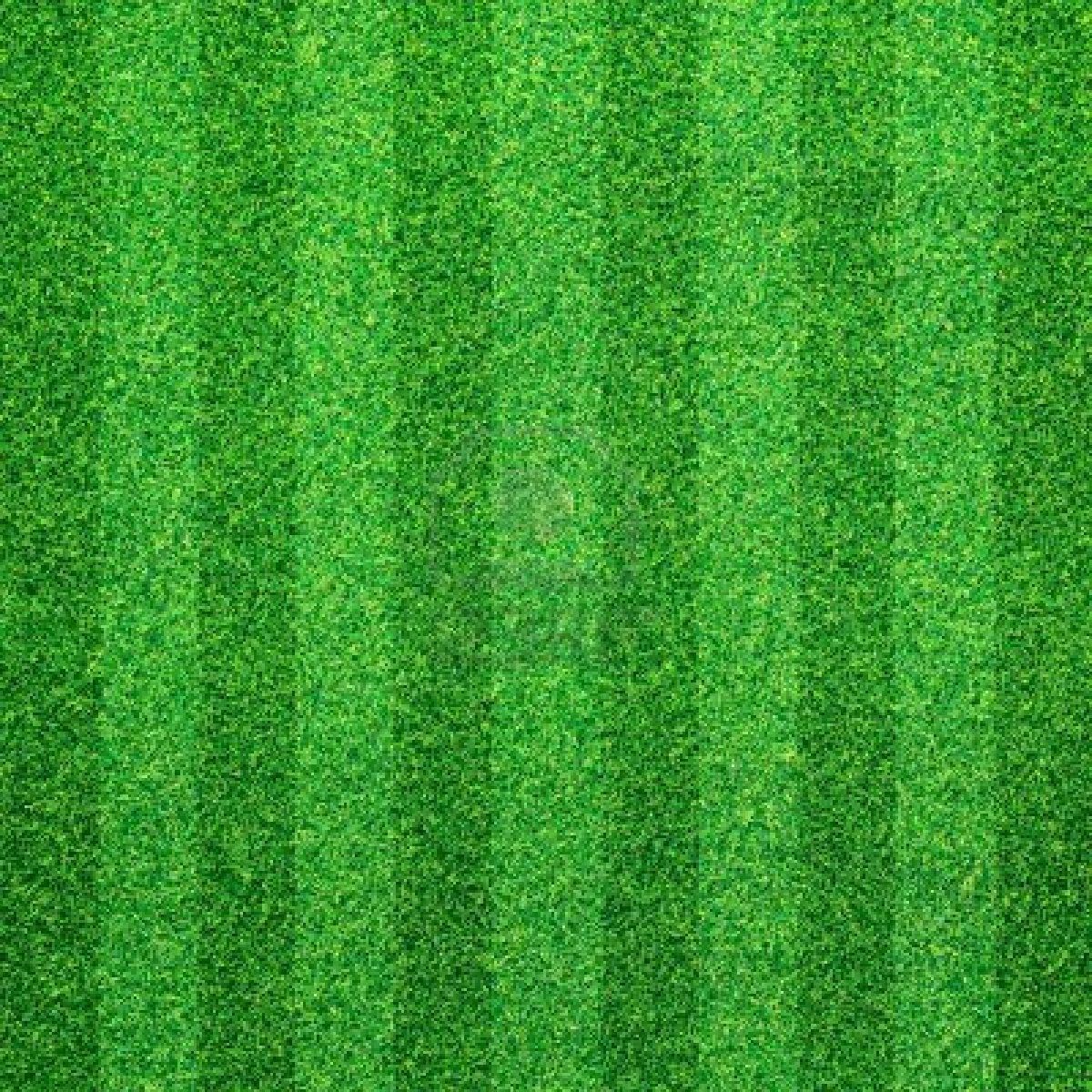 green_field.jpg