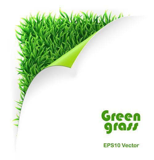 Green Grass background 02 - Vector Background, Vector Plant free ...