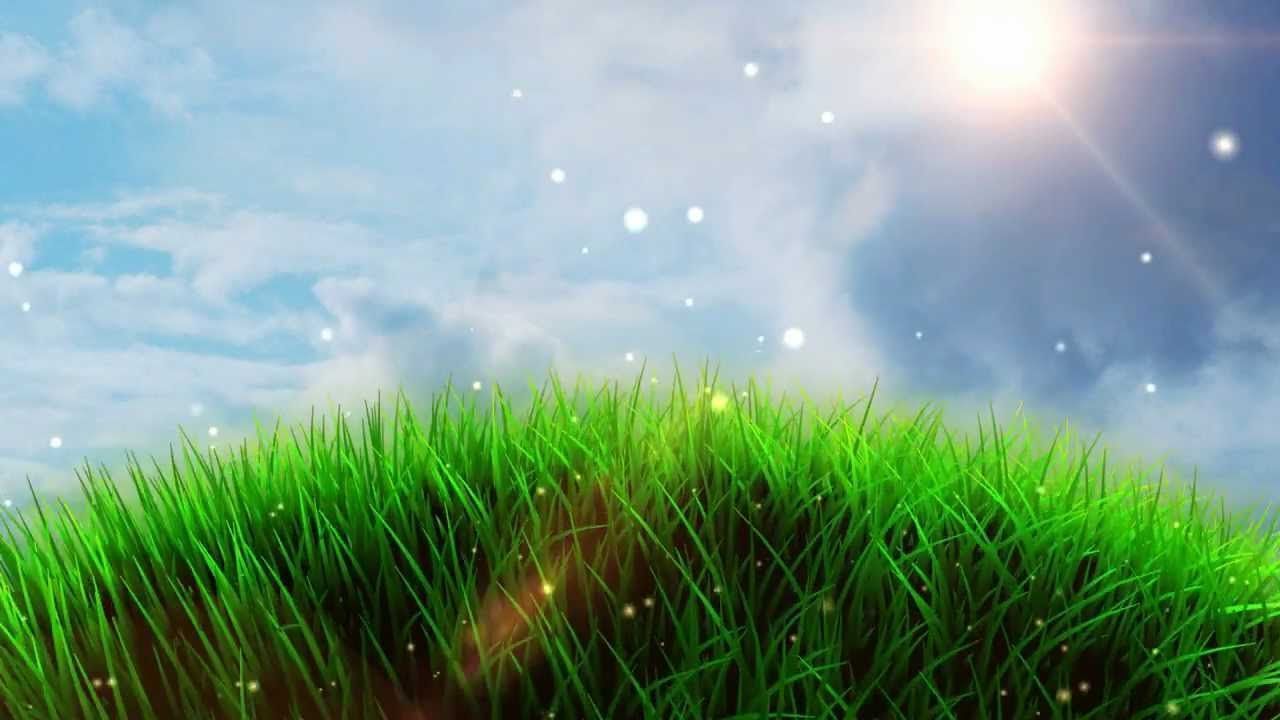 Free Worship Grass Field Background - YouTube