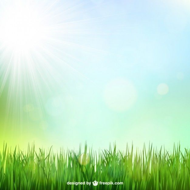 Grass Vectors, Photos and PSD files | Free Download