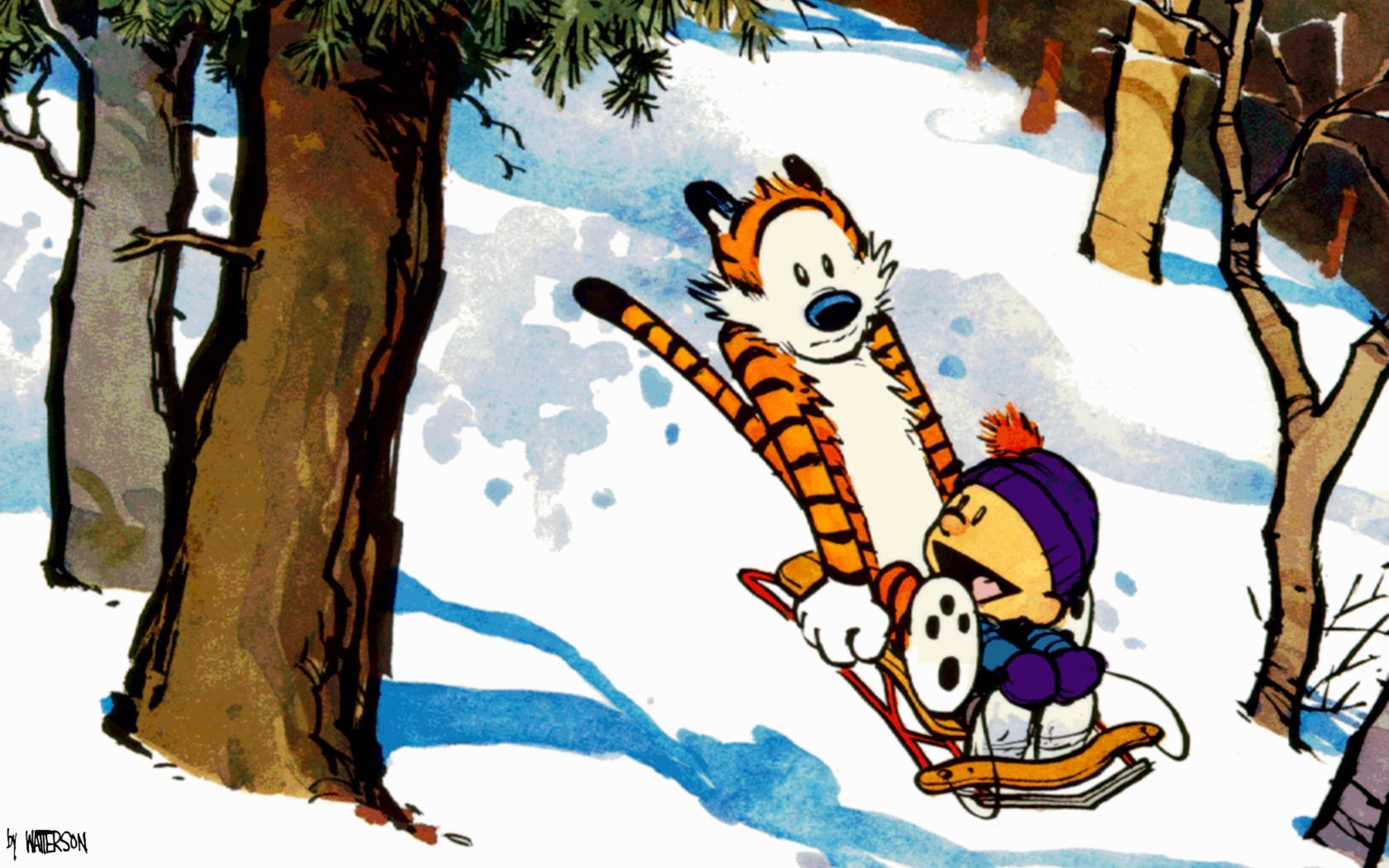 Calvin And Hobbes Wallpaper | 1680x1050 | ID:36376