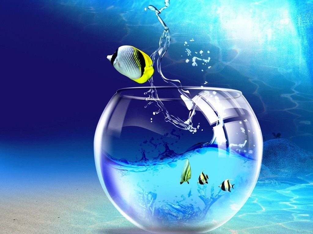 Animated desktop wallpaper windows free jumping fish