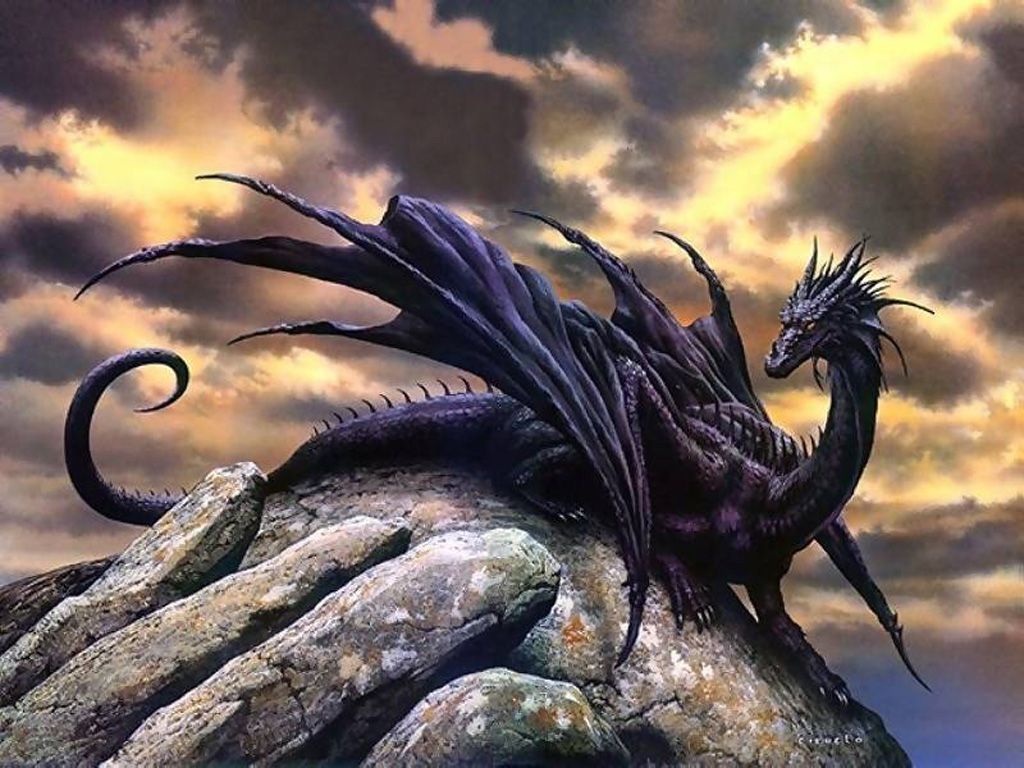 1596 Dragon HD Wallpapers Backgrounds - Wallpaper Abyss