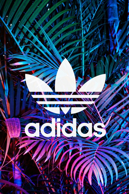 Colorful adidas palms trees like background sky by