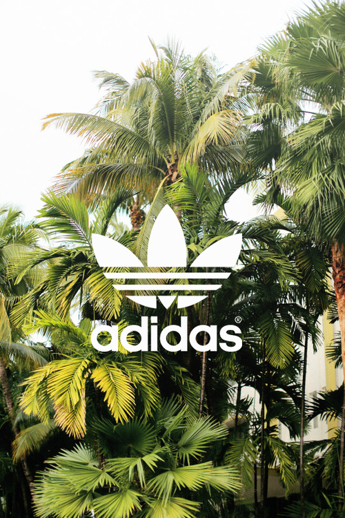 f.o.r.e.v.e.r. B. l.o.v.e. | We Heart It | adidas, background, and ...