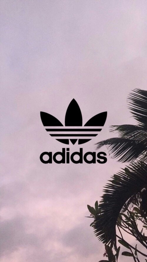 adidas, background, palm trees, wallpaper, adidas logo - image ...