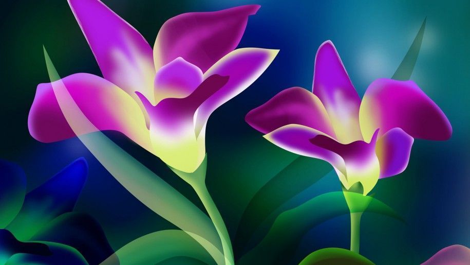 Beautiful Flower Wallpaper Hd Free Download 1704 : Wallpapers13.com
