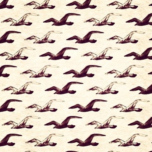 Hollister Backgrounds Group (20+)