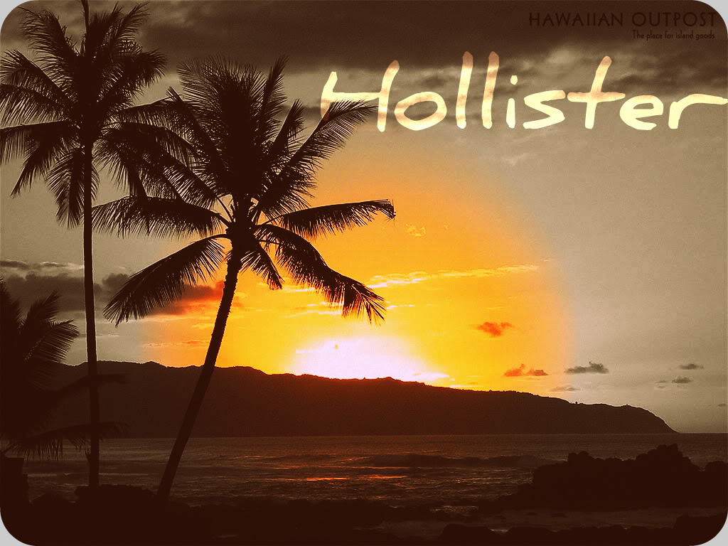 Hollister Beach Model images
