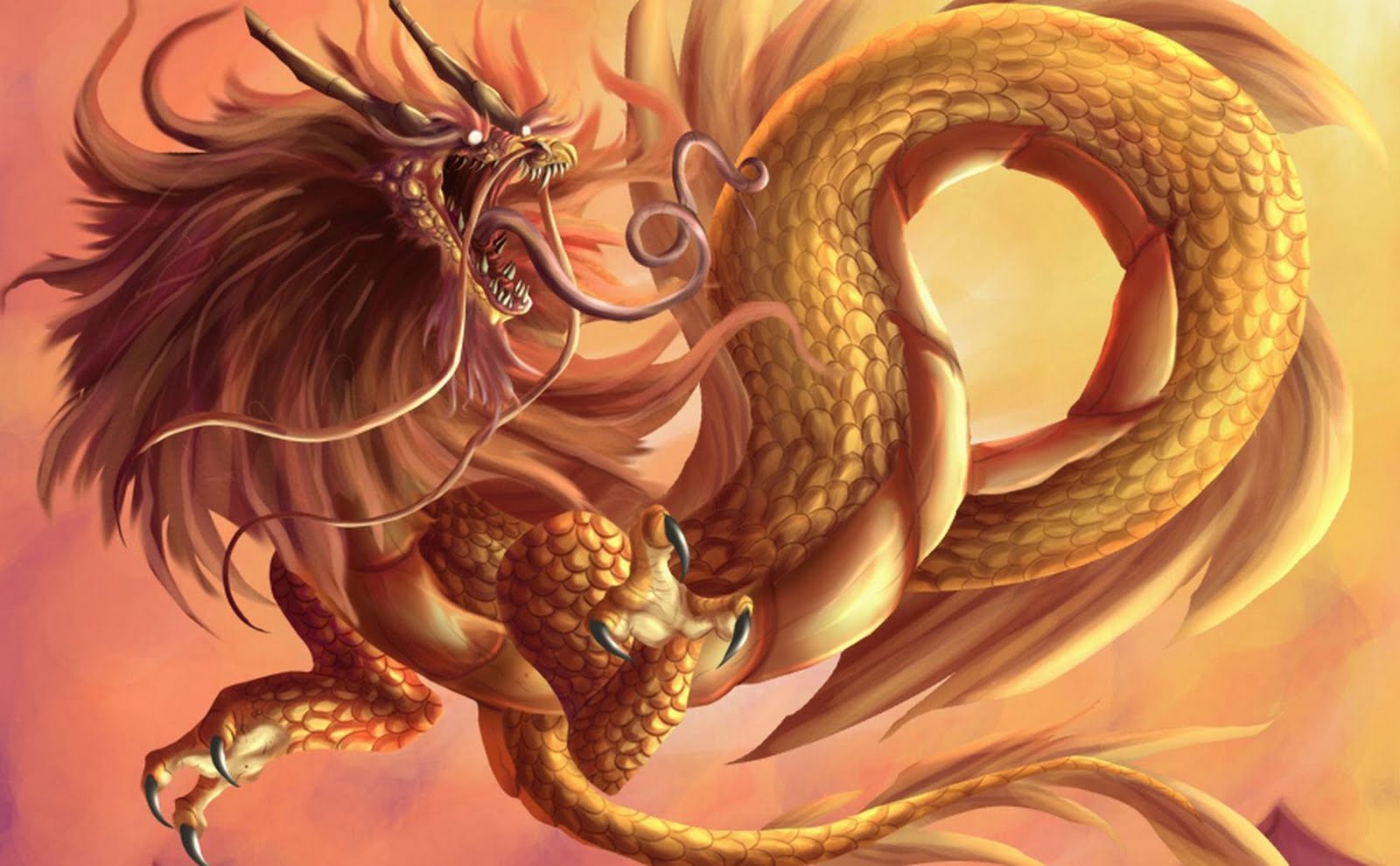 Dragon Wallpaper HD Desktop Download | Master Wallpaper