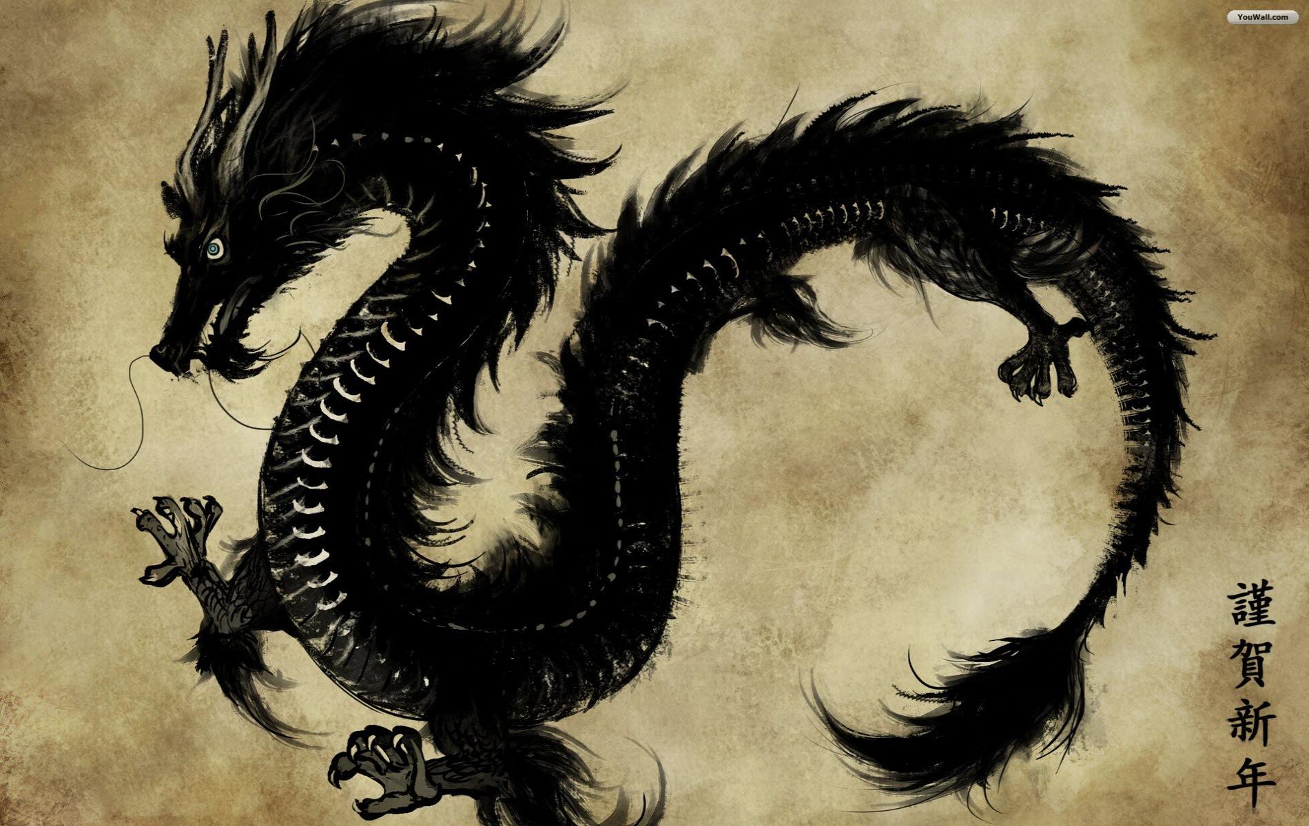 YouWall - Black Dragon Wallpaper - wallpaper,wallpapers,free ...
