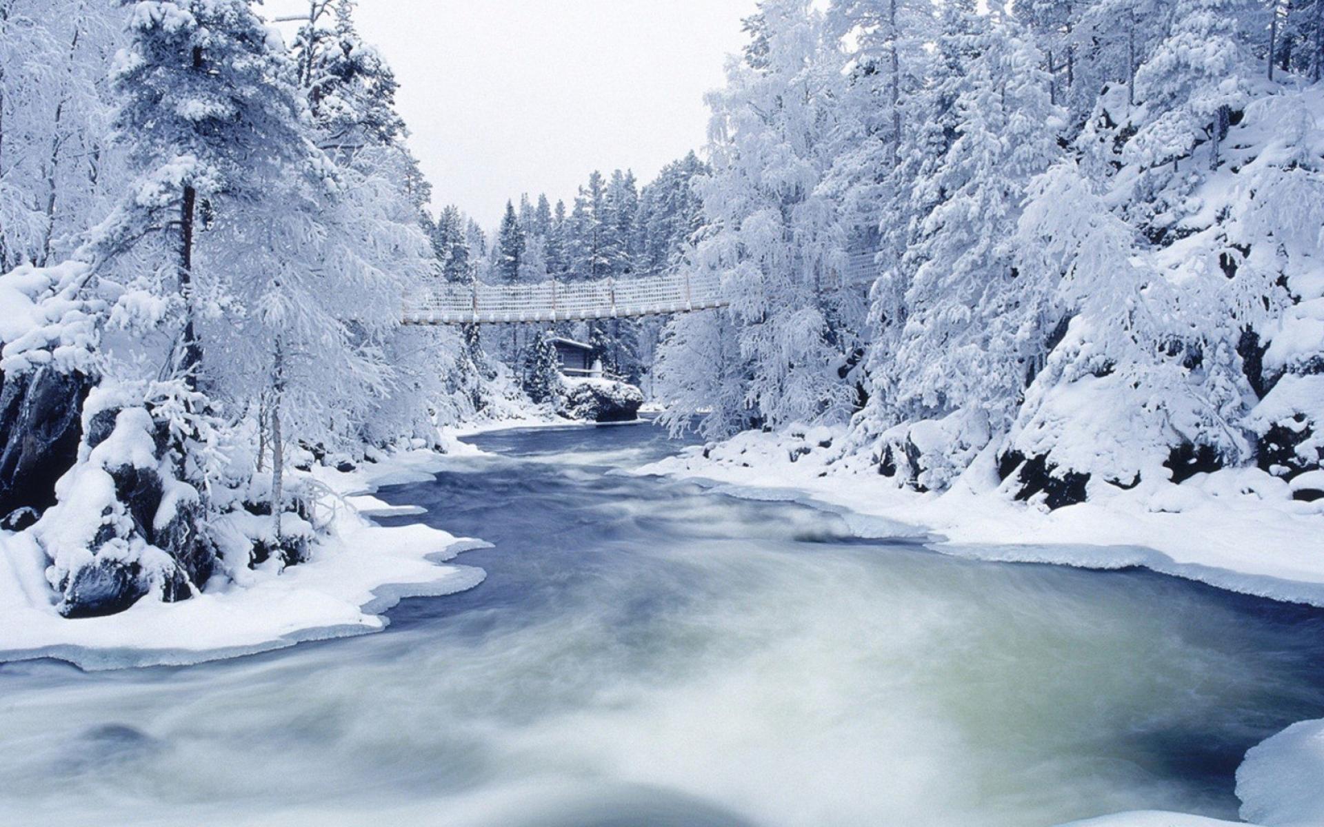 Icy river in forest desktop hq wallpapers - (#30489) - High ...