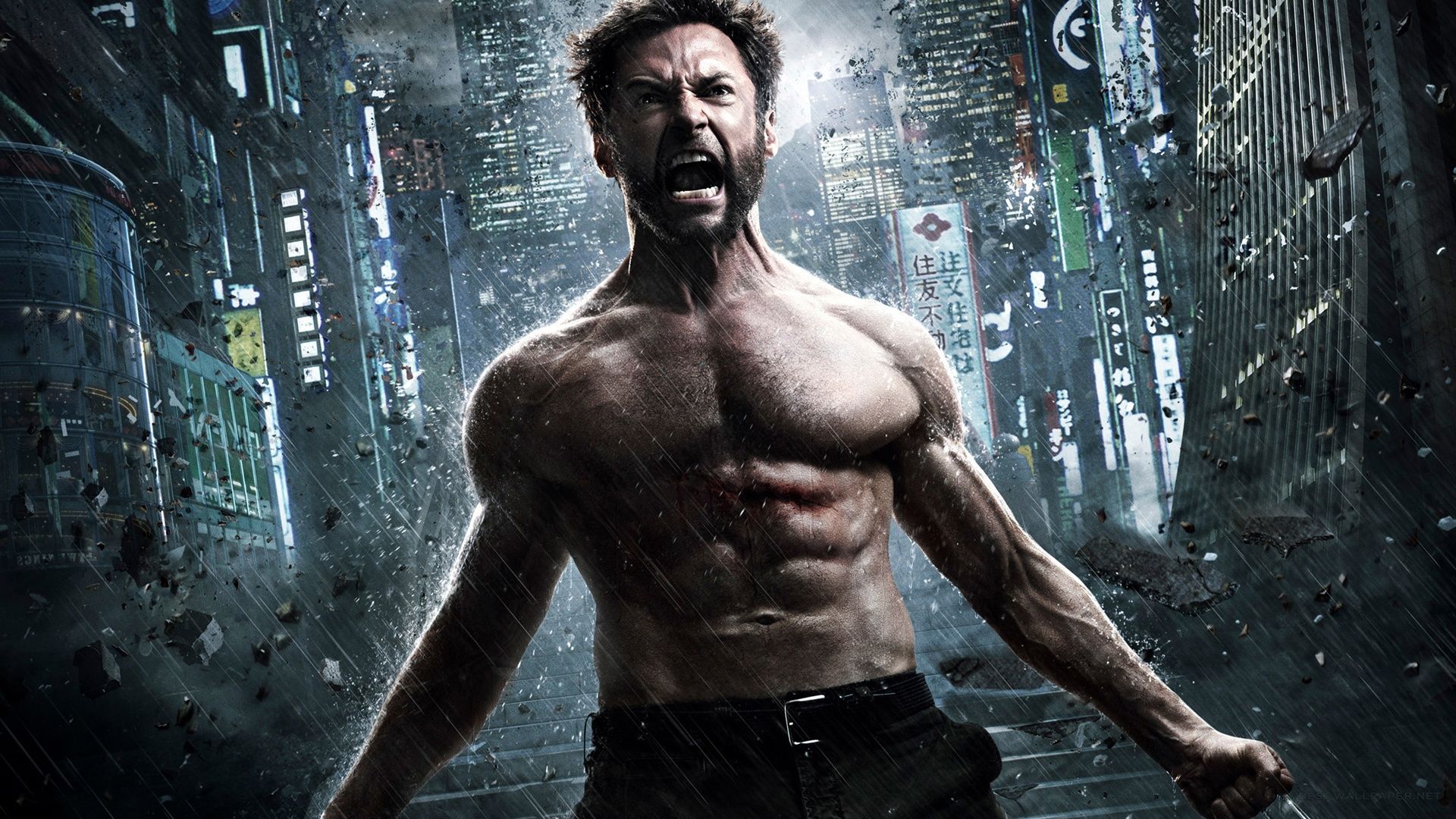 The Wolverine 2, movie 2013 Wallpaper | 1920x1080 resolution ...