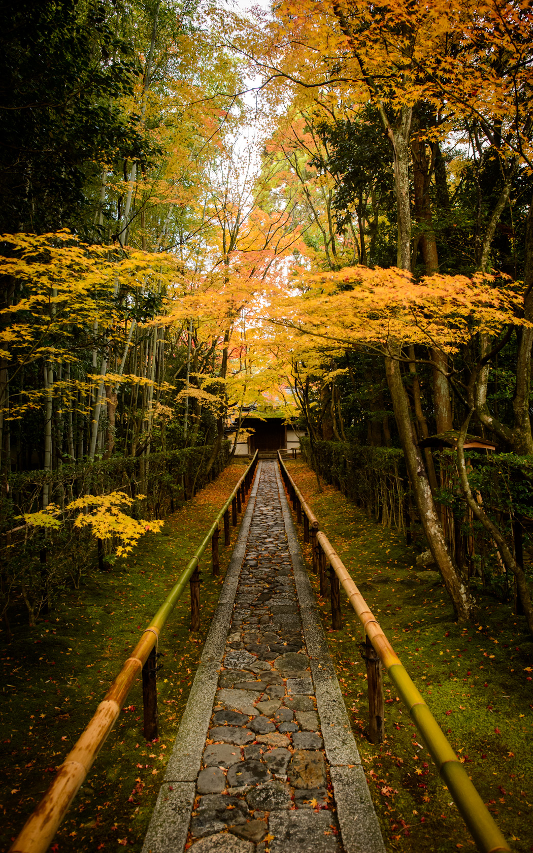 Jeffrey Friedl's Blog » That Amazing Entrance Path of Kyoto ...