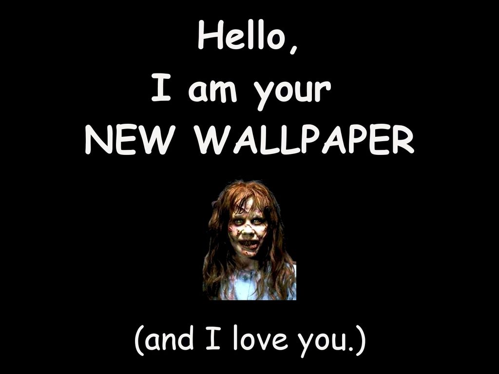 Funny Wallpapers | Funny