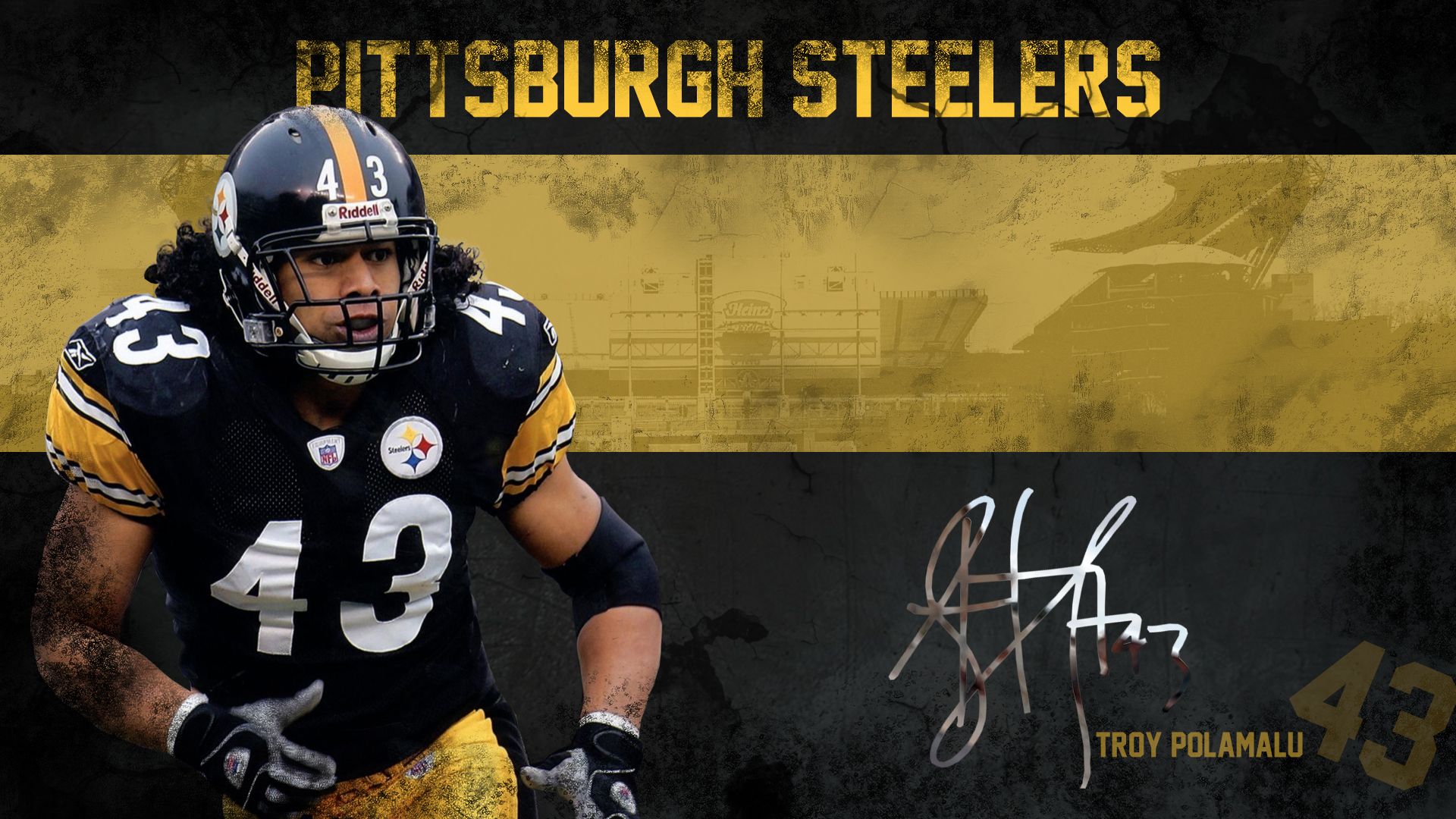 Troy Polamalu Wallpaper - Pittsburgh Steelers Wallpaper 34080251