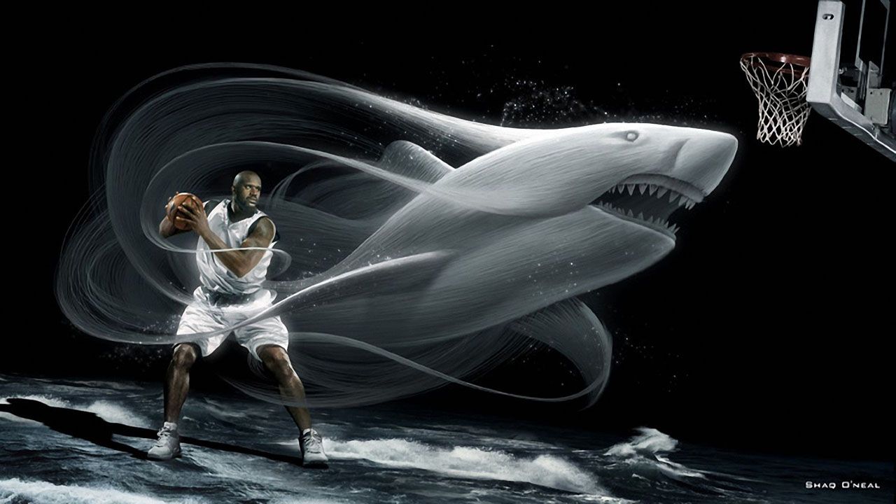 Sharks basketball hd wallpaper