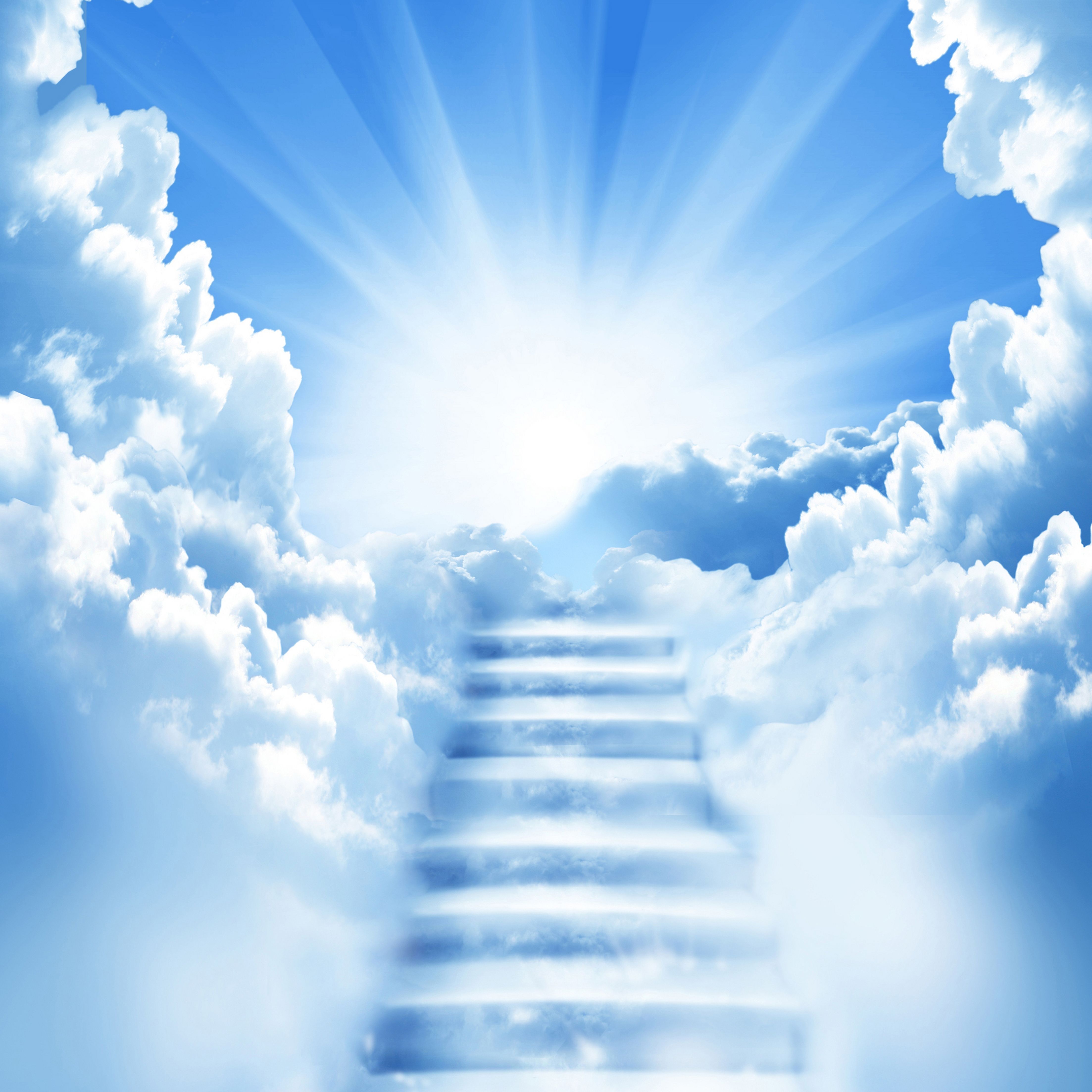 Stairway to Nectar Heaven Desktop Wallpapers