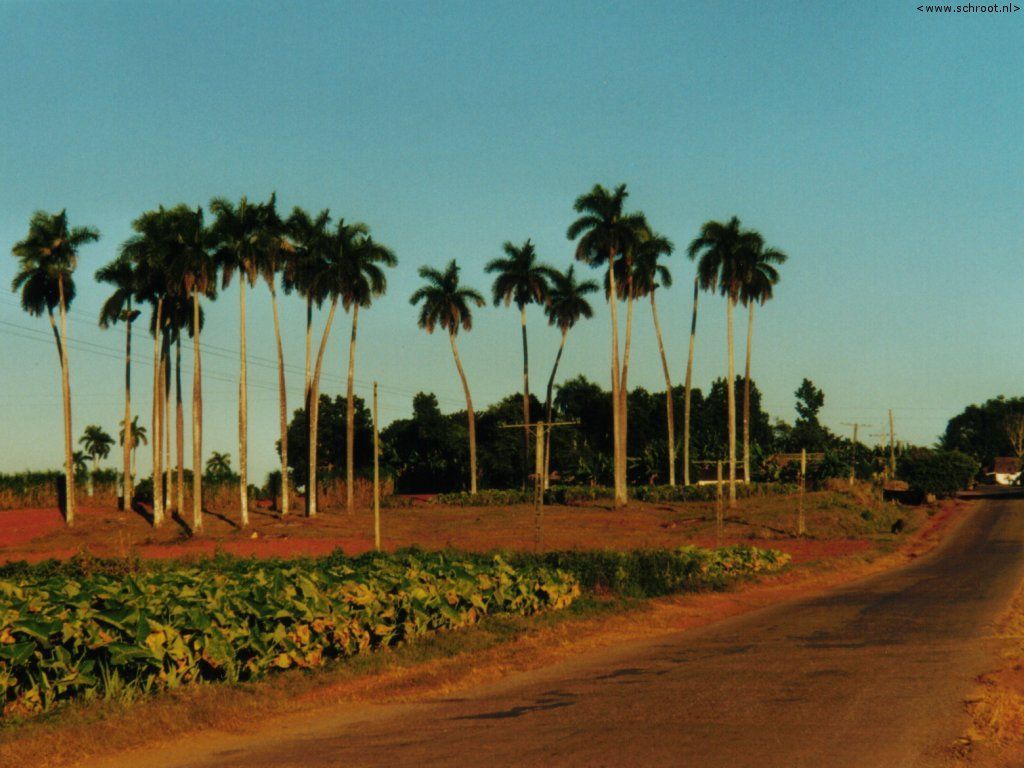 Cuba-001.jpg