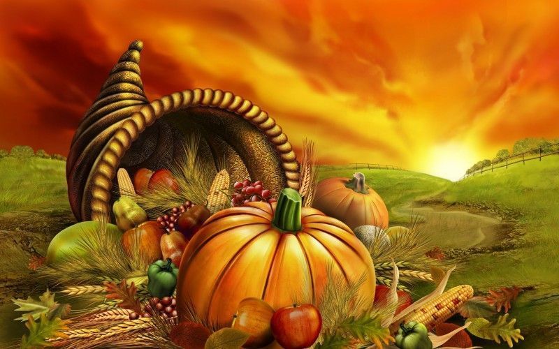 Pumpkin wallpaper desktop background thanksgiving