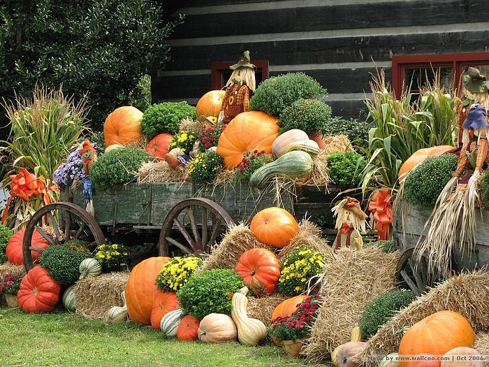 Pumpkin Display : Horse wagon with pumpkins and scarecrows 2 ...