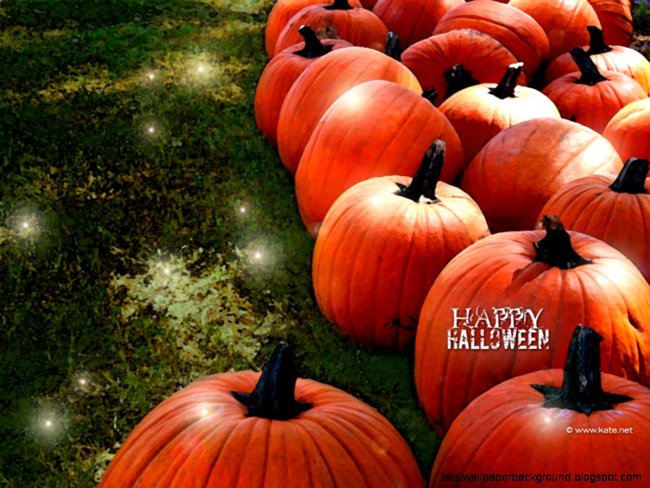 Fall Scene Wallpaper With Pumpkins | Best Wallpaper Background