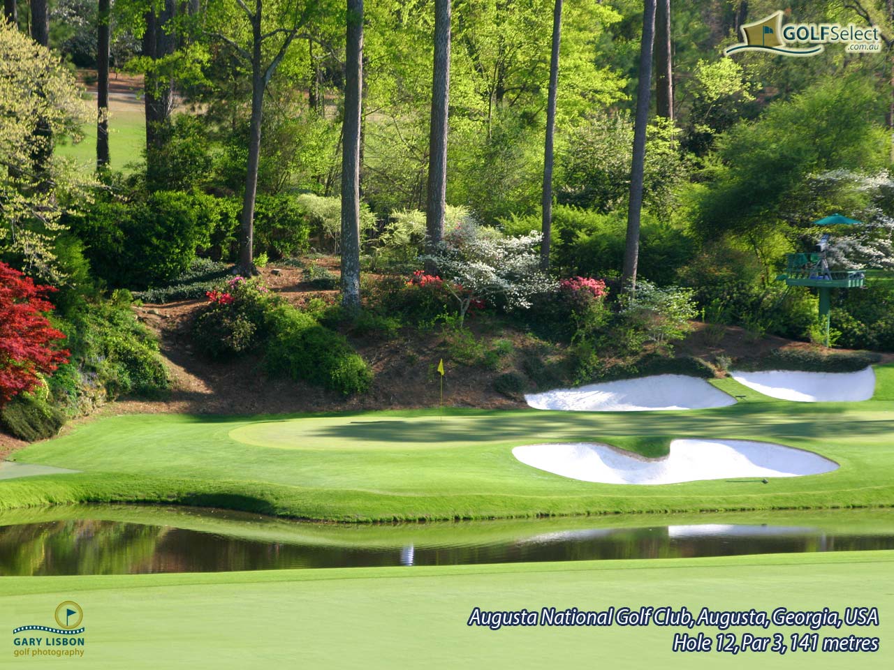 Gallery for - golf course wallpaper augusta