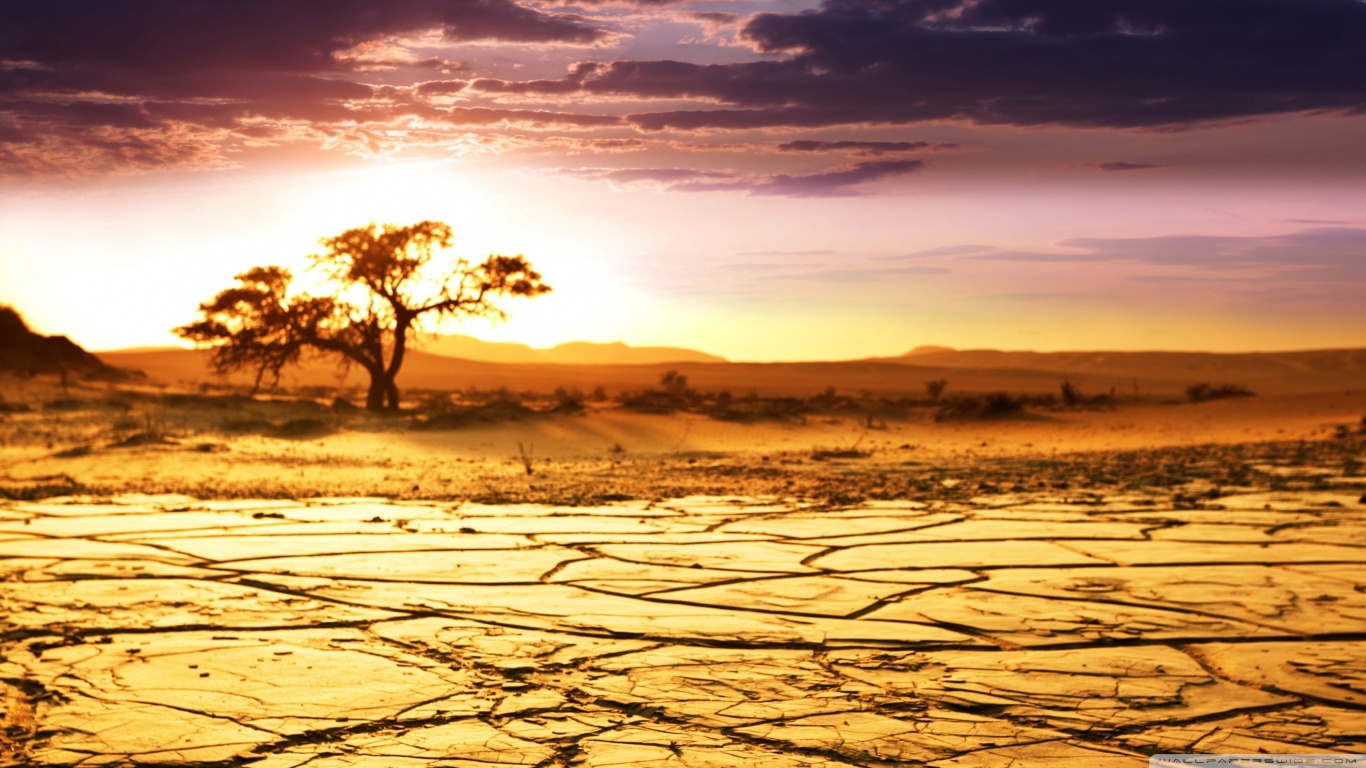 African Landscape HD desktop wallpaper High Definition