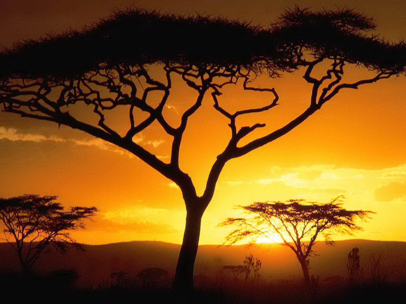 African Landscape Sunset - wallpaper