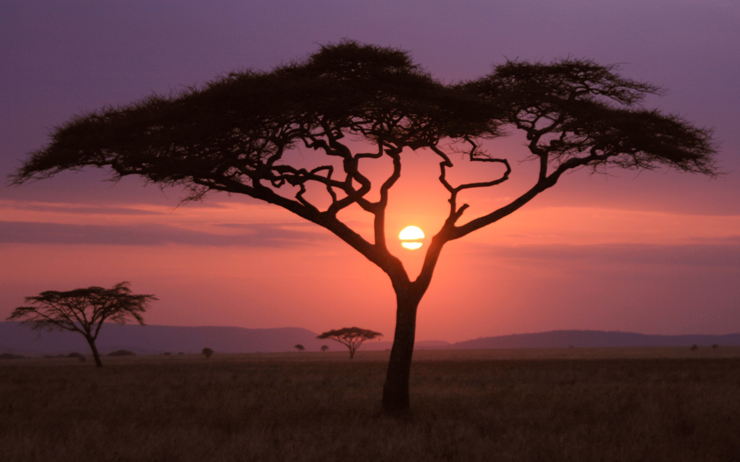 African Sunset Wallpapers HD Backgrounds