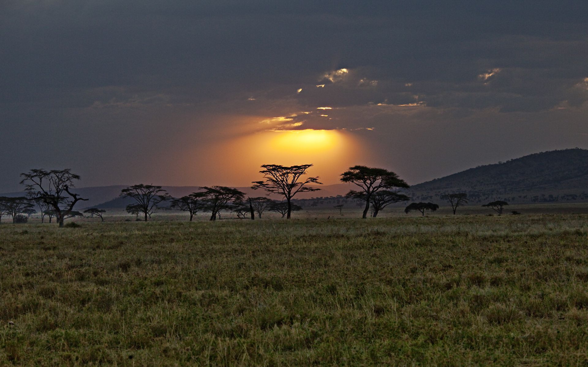 Sunset kenya africa Wallpapers | Pictures