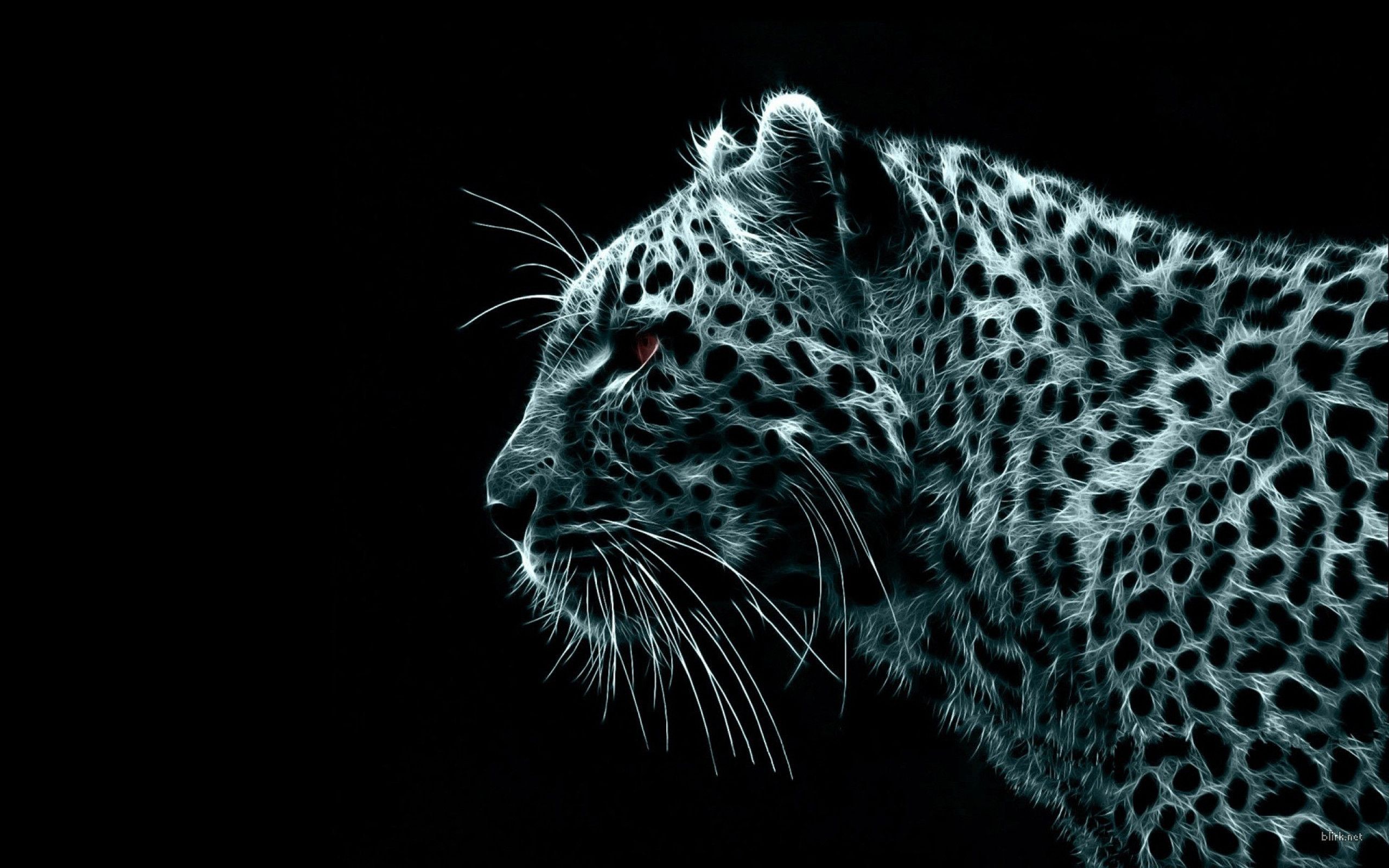 Black Leopard Backgrounds