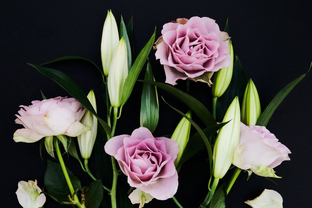 Mothers Day Flowers and Free Phone Wallpapers featuring Debenhams