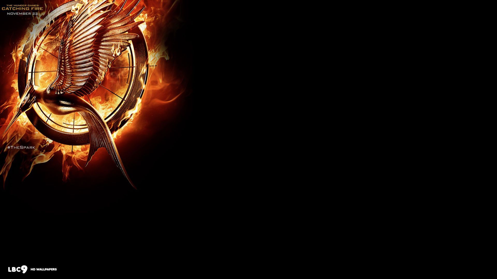 Hunger Games Catching Fire wallpaper 209480