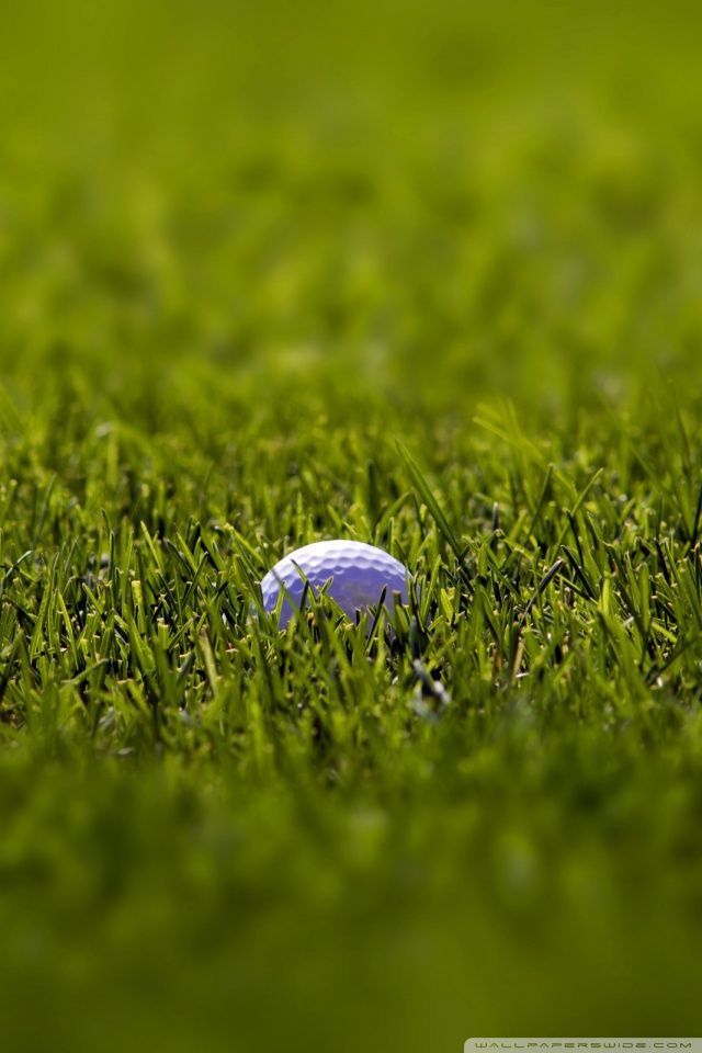 Golf Ball Macro HD desktop wallpaper : High Definition ...