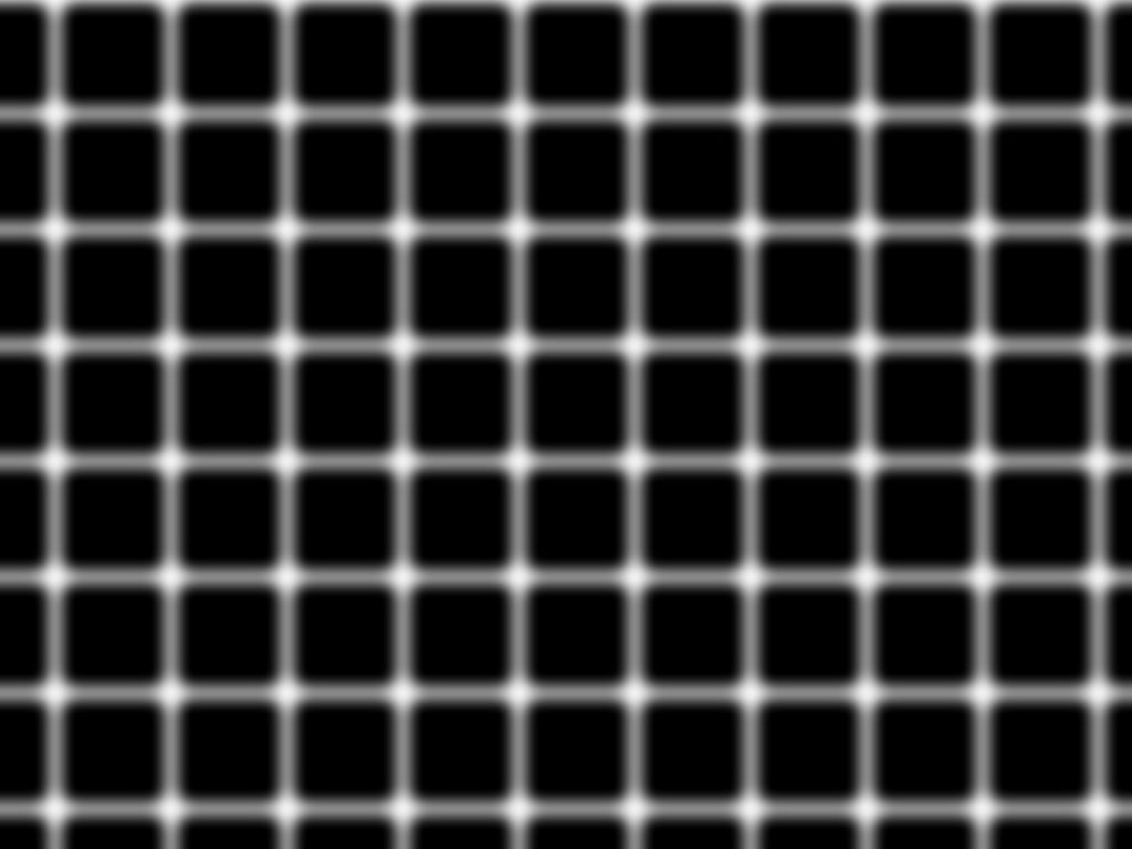 Bergen's illusion (Bergen grid illusion)