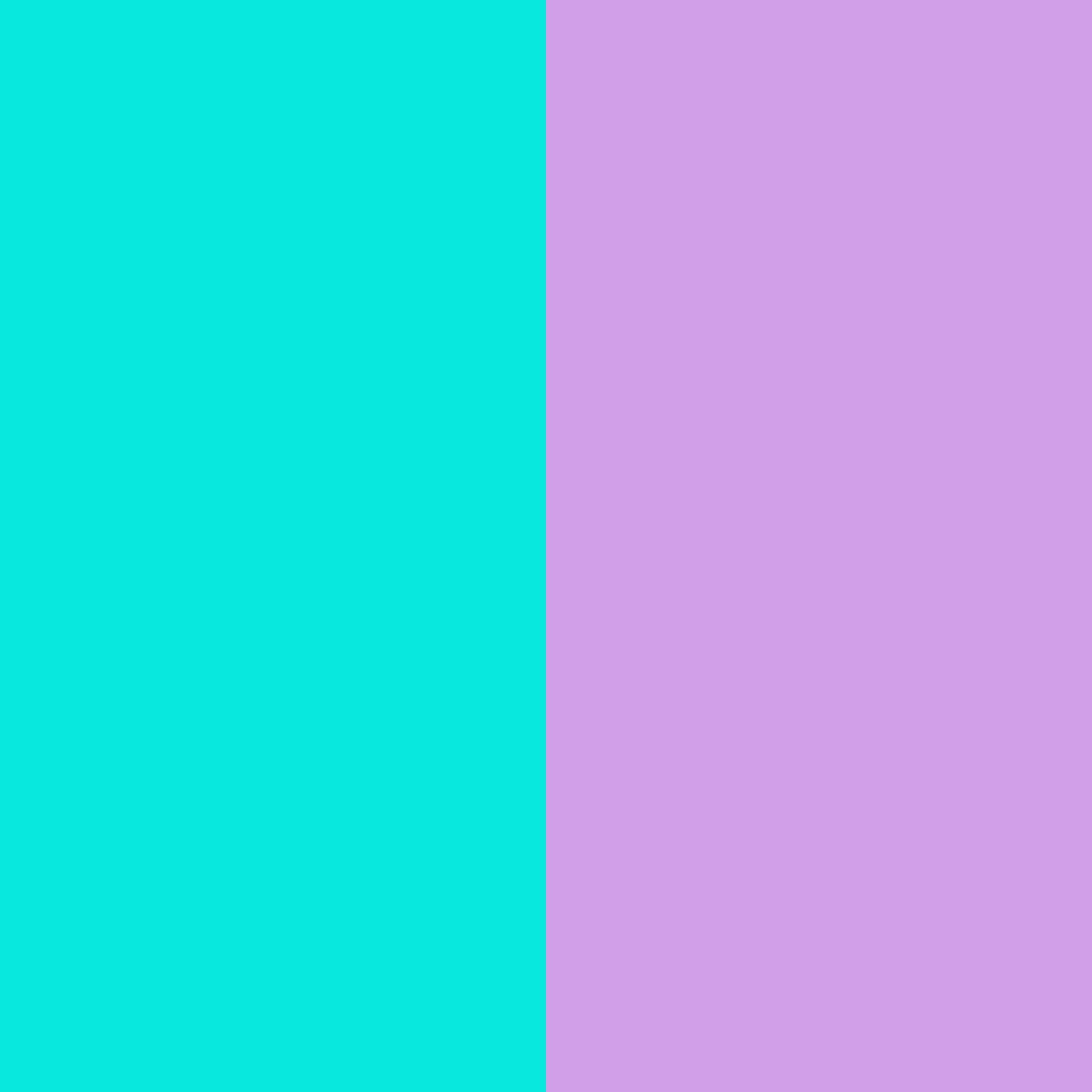 2048x2048-bright-turquoise-bright-ube-two-color-background.jpg