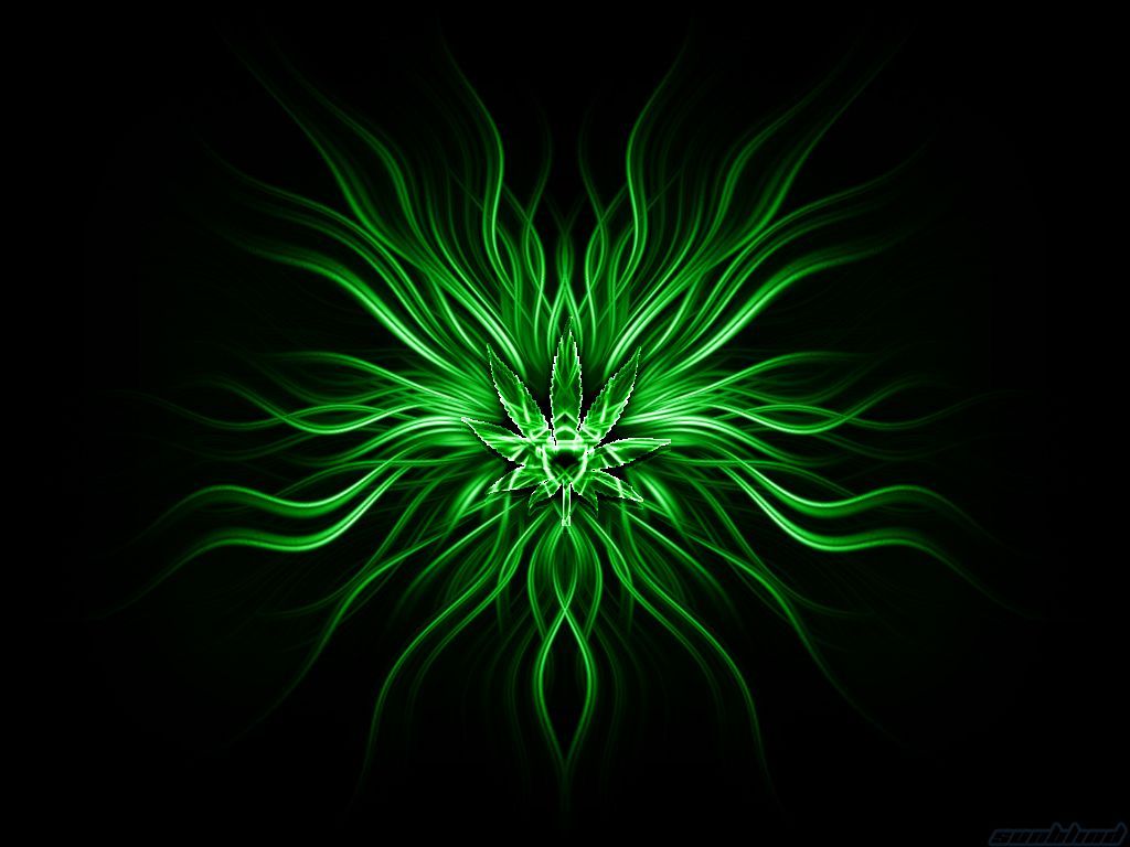 224 Green HD Wallpapers | Backgrounds - Wallpaper Abyss