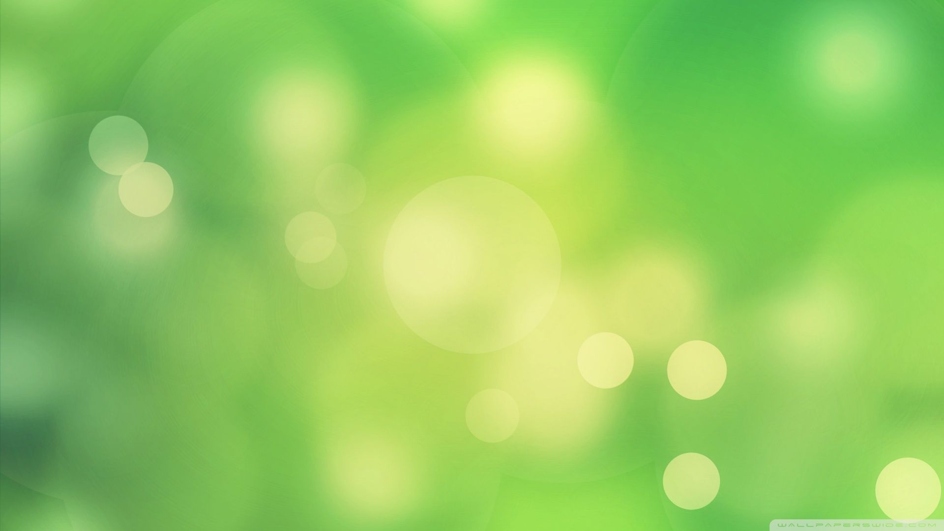 Green Background Perfect 2058 HD Background | High Quality Walley
