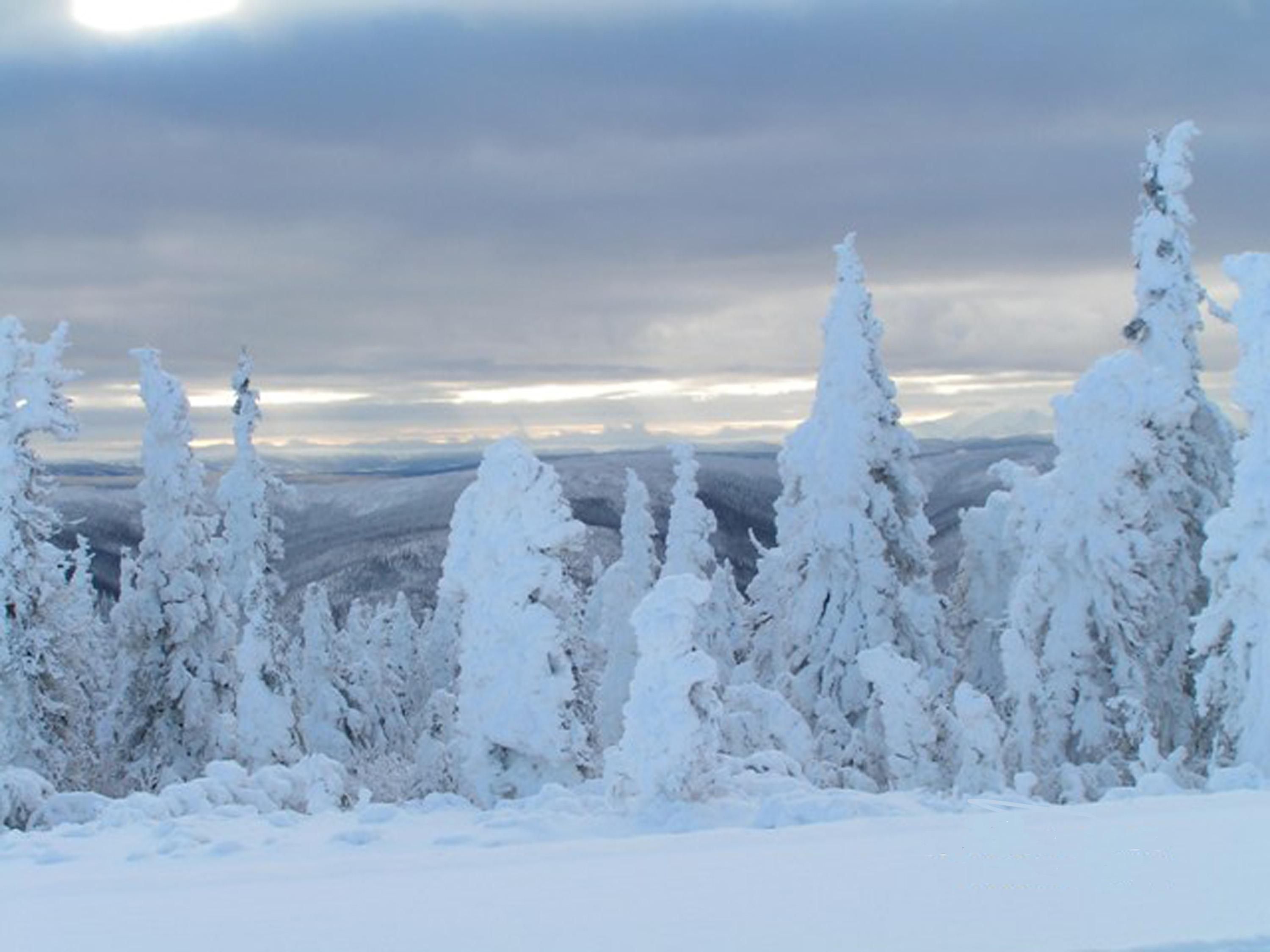 File:Snow wallpaper.jpg - Wikimedia Commons