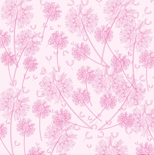 Dandelion Wallpaper Background Free Stock Photo - Public Domain ...