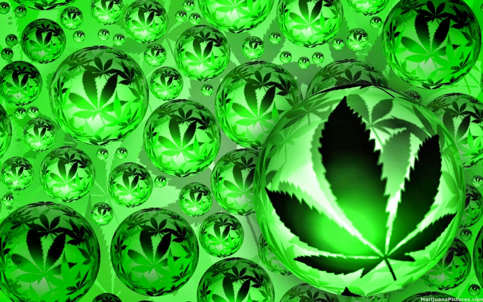 Marijuana wallpaper - Green weed wallpaper WeedBizz