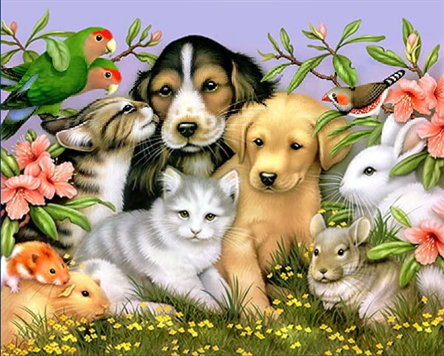 Kittens and puppies and Bunnies