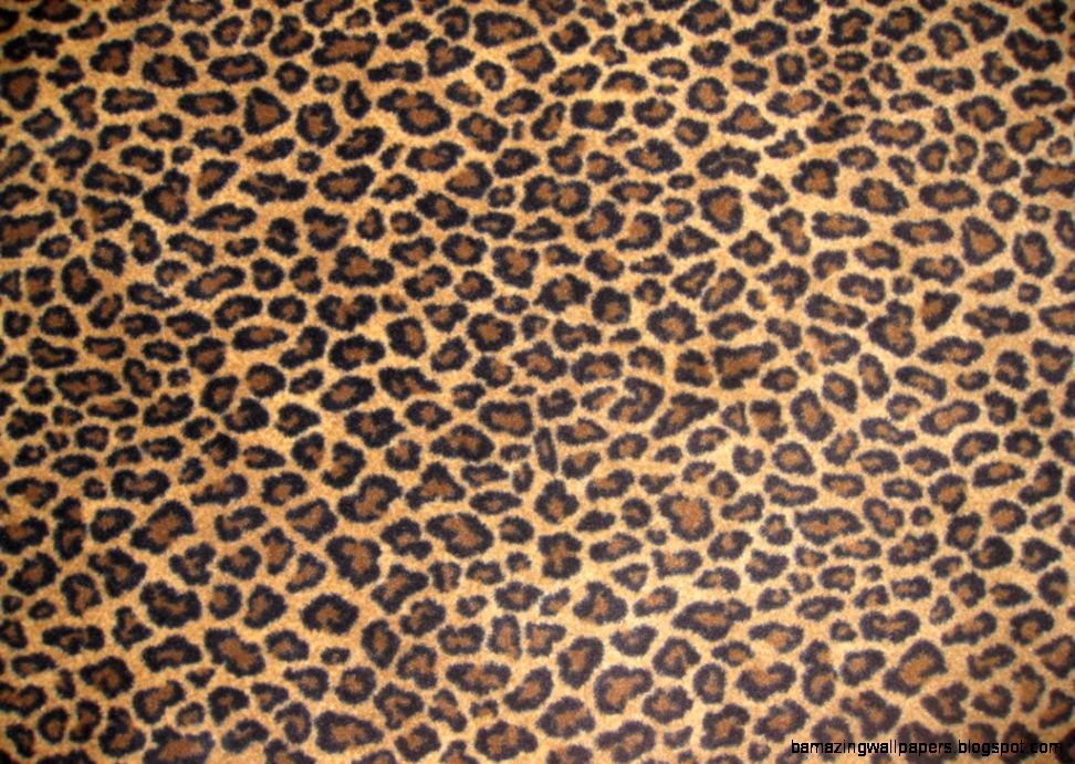 Baby Cheetah Print Wallpaper | Amazing Wallpapers