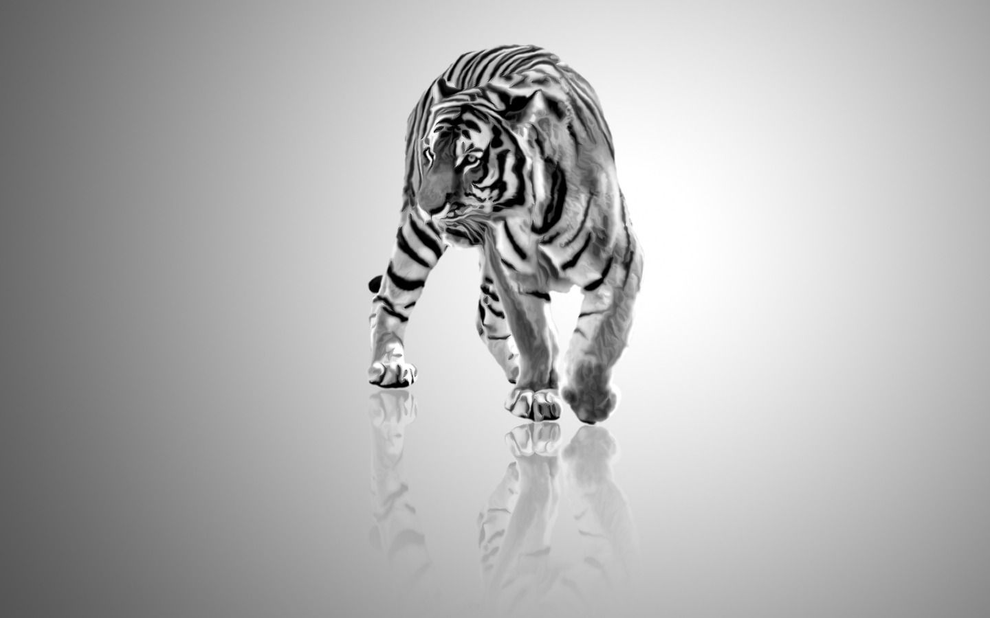 white tiger hd wallpapers ›› Page 0 | Cool Wallpaper ...